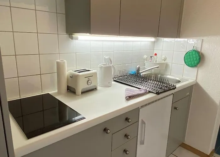 Daire Urban Retreat - Cozy Studio With Private Patio Zürih