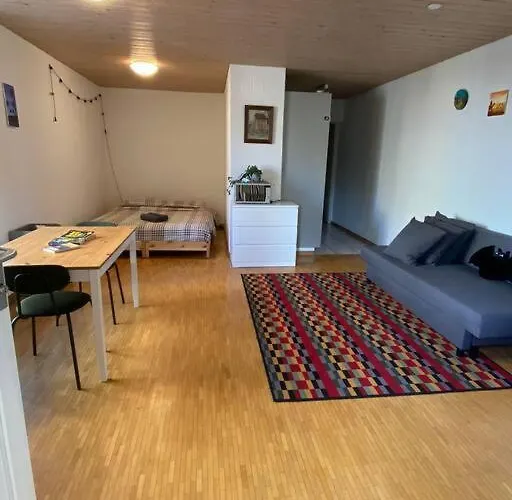 Urban Retreat - Cozy Studio With Private Patio Daire Zürih