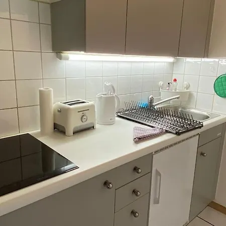 Apartment Urban Retreat - Cozy Studio With Private Patio Zurich
